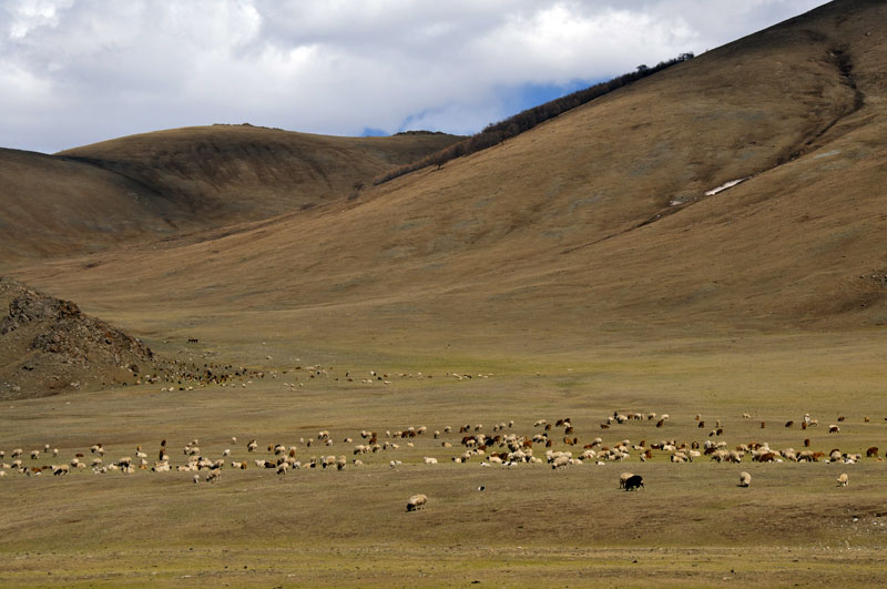 Mongolia